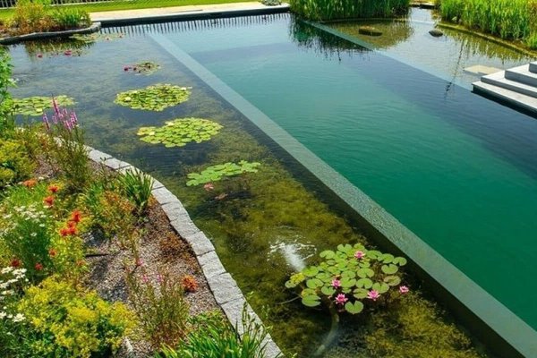 Piscine naturelle : pourquoi c'est intéressant pour vous d'en avoir une ?